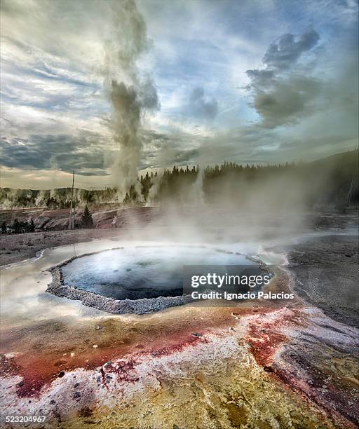 grand geyser eruption, old faithful yellowstone - geyser stock pictures, royalty-free photos & images