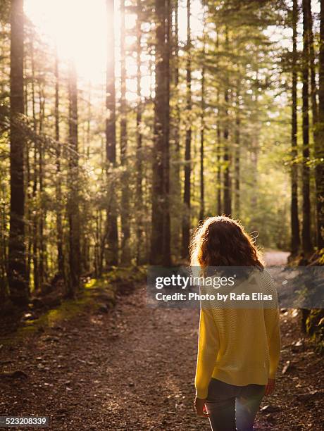 woman standing on forest path - camisola de ciclismo imagens e fotografias de stock