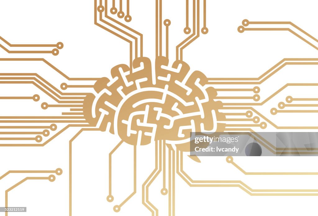 Head Circuit