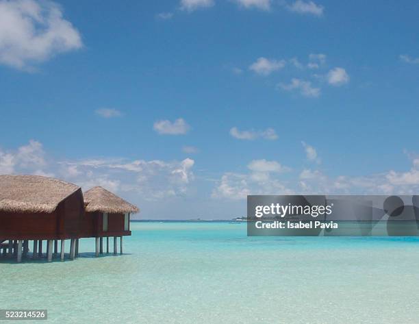 idyllic landscape in maldives islands - laguna beach maldives stock pictures, royalty-free photos & images