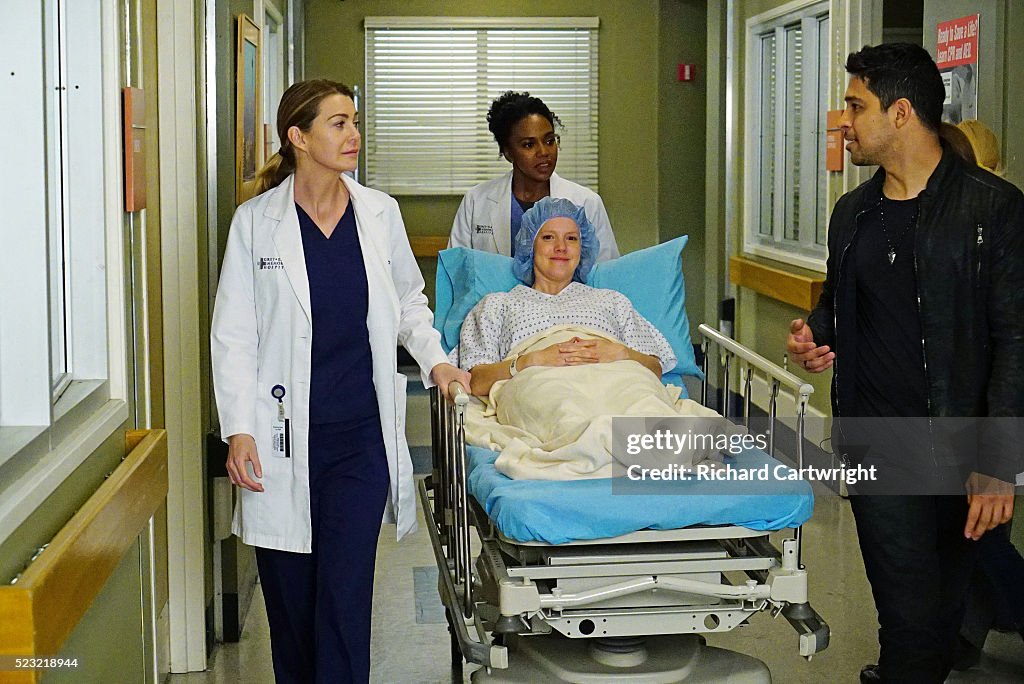 ABC's "Grey's Anatomy" - Season Twelve
