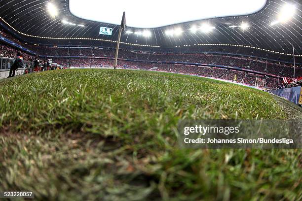 Inside wideangle view of the Allianz Arena celebrate, seen during the Bundesliga match between FC Bayern Muenchen and 1899 Hoffenheim at Allianz...