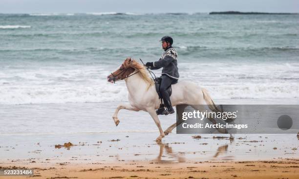 horseback riding on the coast, iceland - icelandic horse stock pictures, royalty-free photos & images