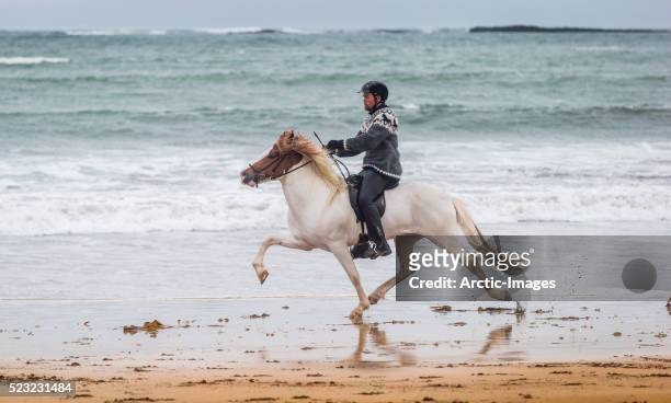 horseback riding on the coast, iceland - 冰島馬 個照片及圖片檔