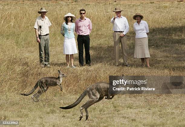 Crown Prince Frederik of Denmark and Crown Princess Mary of Denmark watch a kangaroo with Australian Governor General Michael Jeffrey and his wife...