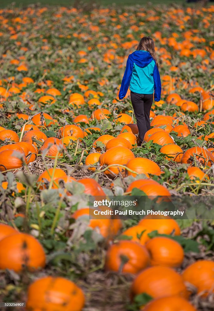 Girl in pumpkin patch