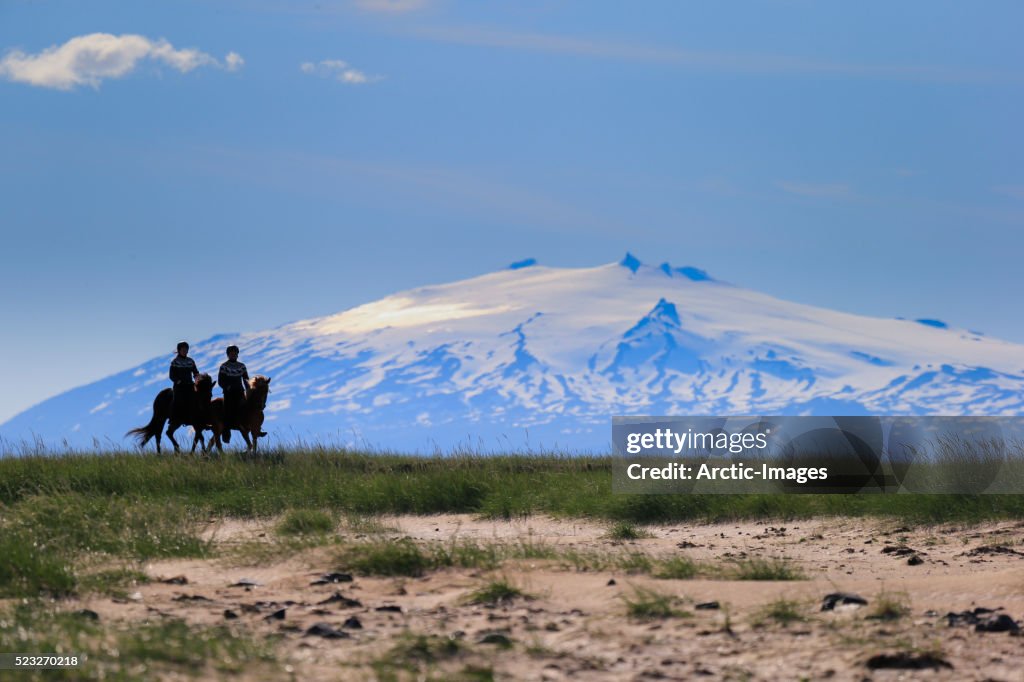 Horseback riding on Longufjordur, Iceland