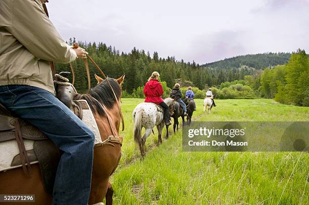 horseback riding along meadow - agritourism stock pictures, royalty-free photos & images