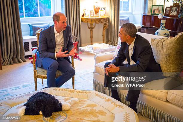 Prince William, Duke of Cambridge speaks with US President Barack Obama in the Drawing Room of Apartment 1A Kensington Palace as they attend a dinner...