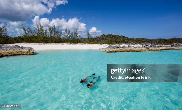 snorkeling at cat island, bahamas - bahamas fotografías e imágenes de stock
