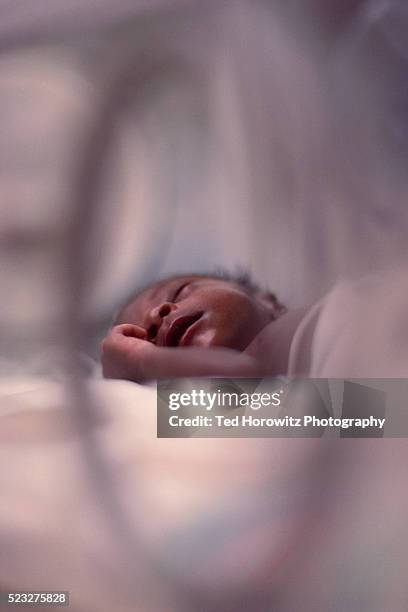 premature baby in neonatal intensive care - black premature babies stock pictures, royalty-free photos & images