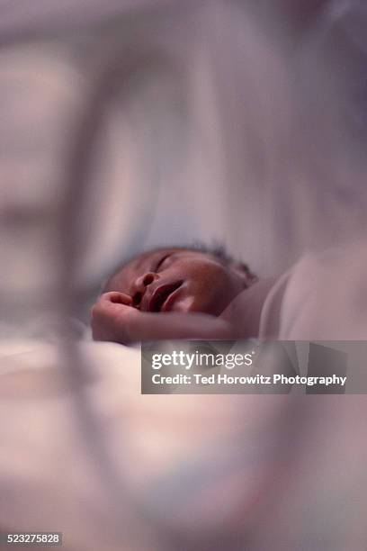 premature baby in neonatal intensive care - premature 個照片及圖片檔