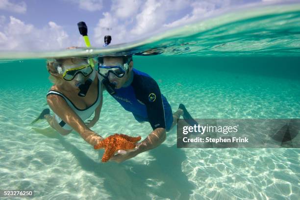 holding a sea star - turks and caicos islands stock pictures, royalty-free photos & images