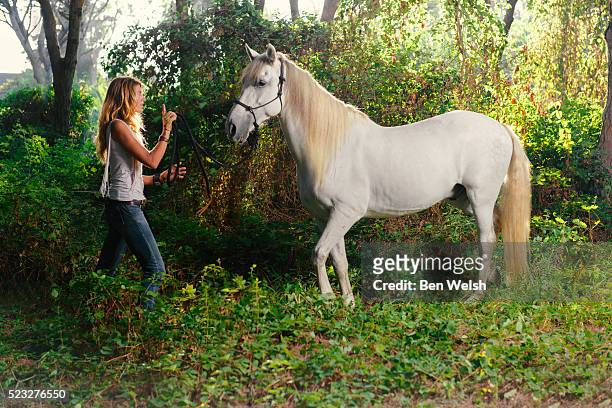 blond woman and white horse in nature - grace tame stock pictures, royalty-free photos & images