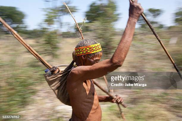 elder bushman hunter, nhoma camp, bushman/ju'hoansi people, namibia - kalahari desert 個照片及圖片檔