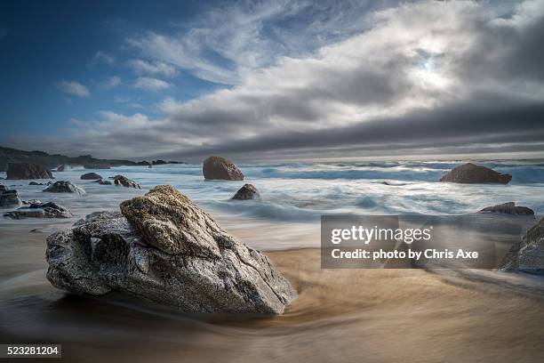 garrapata beach exposed - big sur, ca - barnacle stock pictures, royalty-free photos & images