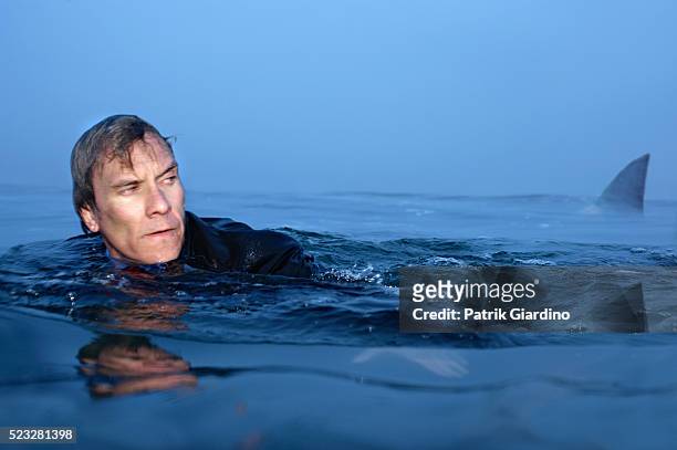 businessman swimming near shark - dorsal fin stock pictures, royalty-free photos & images