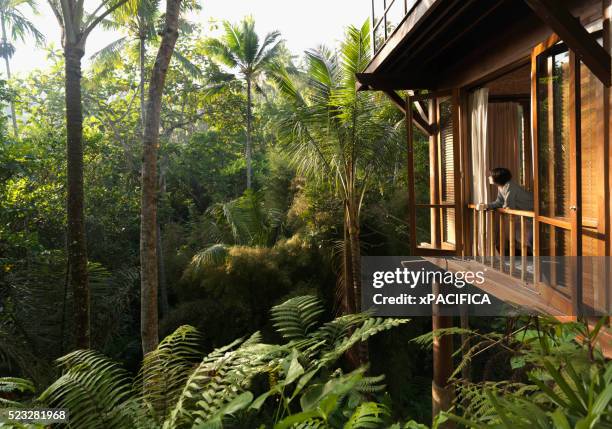 woman drinking tea on balcony of tropical jungle dwelling - indonesia travel stock pictures, royalty-free photos & images