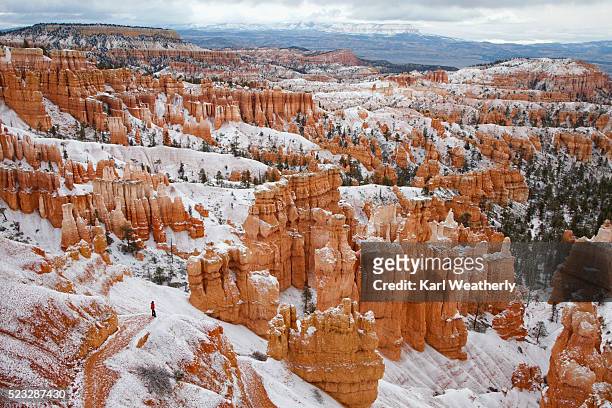 hiker on path in bryce canyon in the snow - bryce canyon 個照片及圖片檔