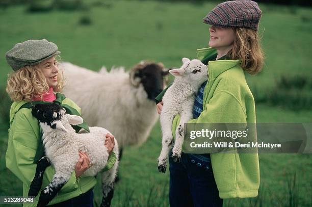 sisters holding lambs in ireland - irish family stock-fotos und bilder