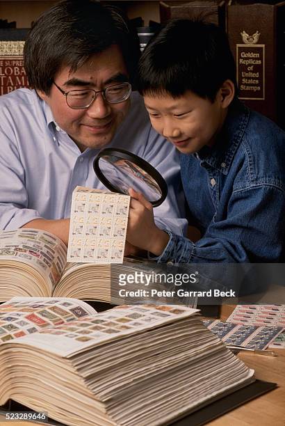 father and son examining stamps - stamp collecting stock pictures, royalty-free photos & images