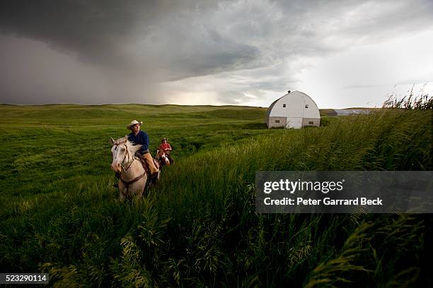 horse riders on prairie - north dakota stockfoto's en -beelden