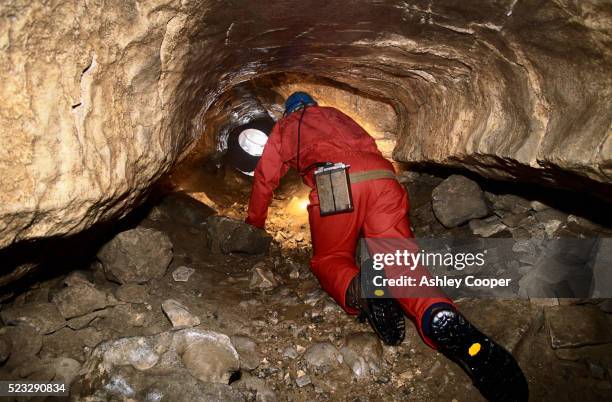 spelunker crawling along narrow cave - espeleología fotografías e imágenes de stock