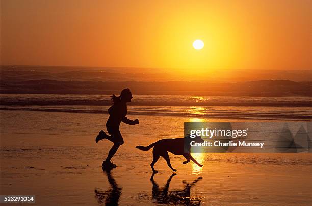 woman and dog running on beach at sunset - north pacific stock pictures, royalty-free photos & images