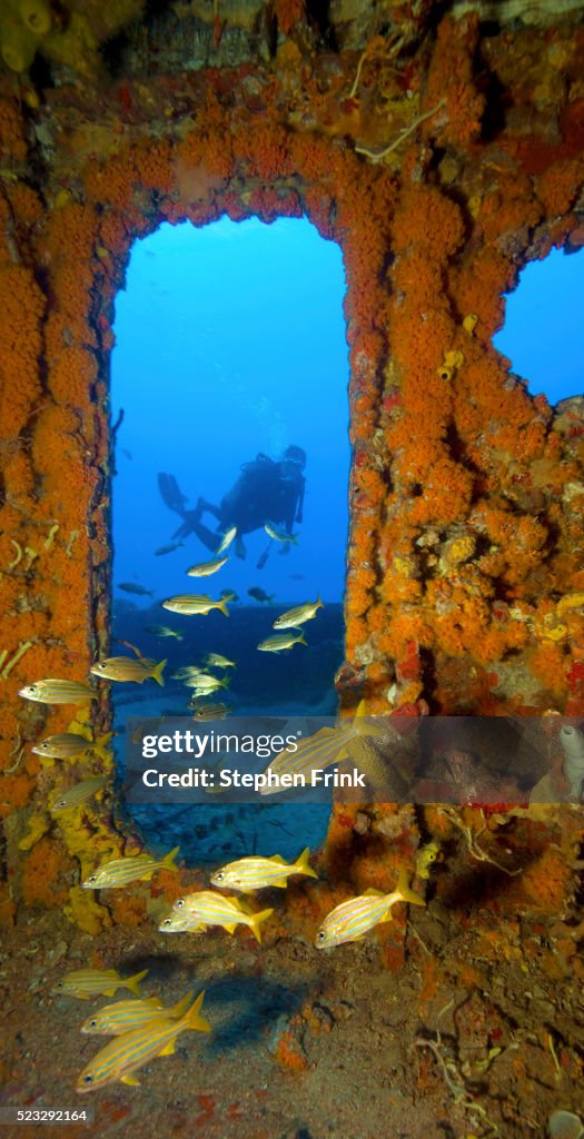 Diver on Shipwreck