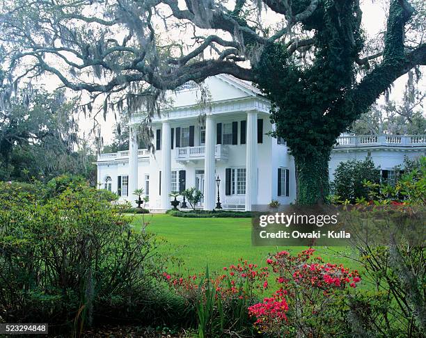 mansion at orton plantation - southern usa stock pictures, royalty-free photos & images