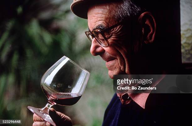senior inspects product on a grape farm, france - ワイン醸造業者 ストックフォトと画像