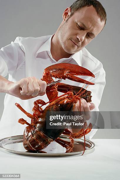 chef cracking lobster claw - lobster platter stock pictures, royalty-free photos & images