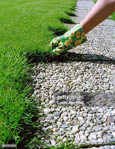 woman gardening - jäten stock-fotos und bilder