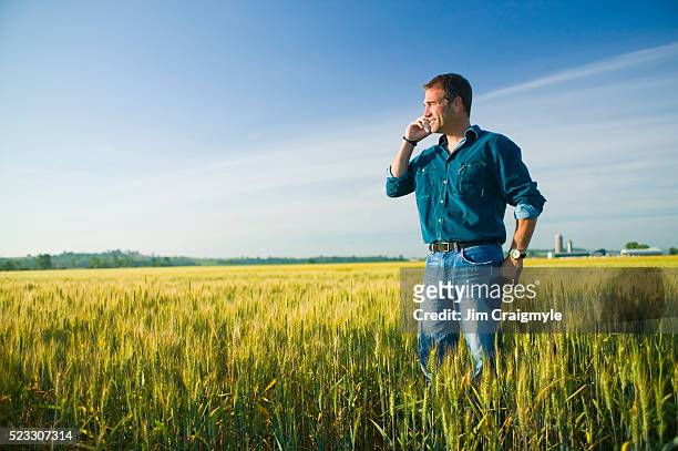 farmer talking on cell phone in barley field - jim farmer stock pictures, royalty-free photos & images