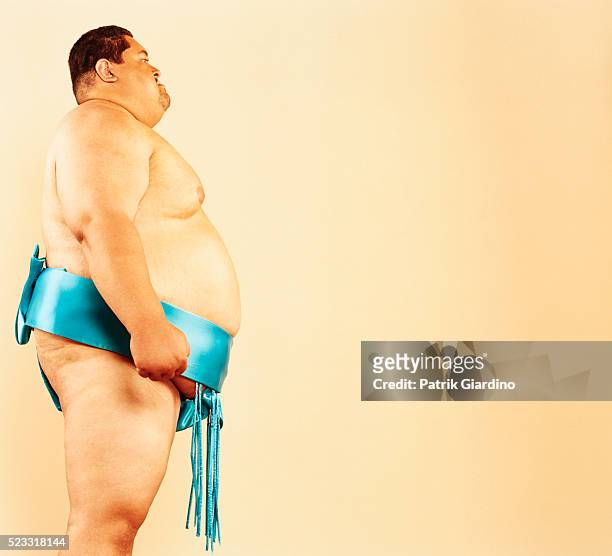sumo wrestler - sumo stock-fotos und bilder