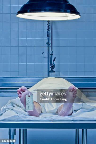 corpse on examination table with toe tag - toe tag stock pictures, royalty-free photos & images