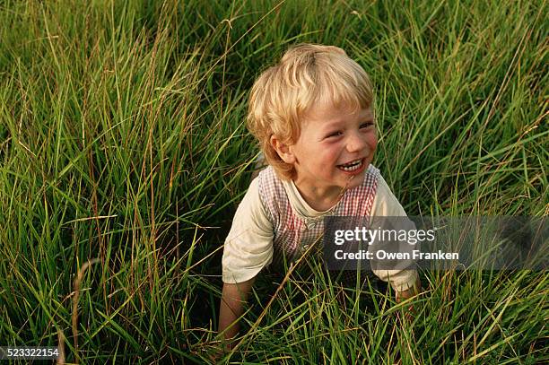 tunui franken plays in tall grass - image stockfoto's en -beelden