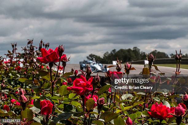 Max Chilton, of England, drives the Chevrolet IndyCar past some flowers during practice for the Honda Indy Grand Prix of Alabama at Barber...