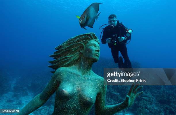 amphitrite statue and scuba diver - grand cayman islands foto e immagini stock