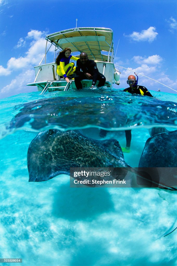 Divers Watching Stingrays