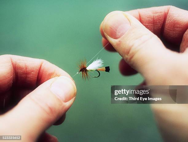 hands tying a fly-fishing fly - vintage fishing lure stock pictures, royalty-free photos & images