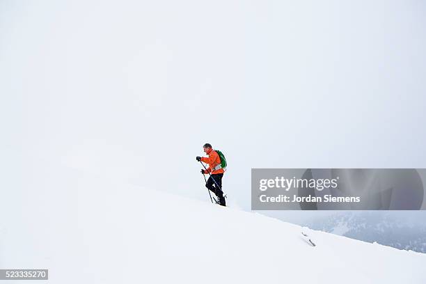 shoeshoeing at hurricane ridge in olympic national park, port angeles, washington state, usa - port angeles washington state stock pictures, royalty-free photos & images