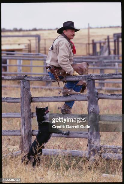 cowboy with his dog - cowboy spurs stock pictures, royalty-free photos & images