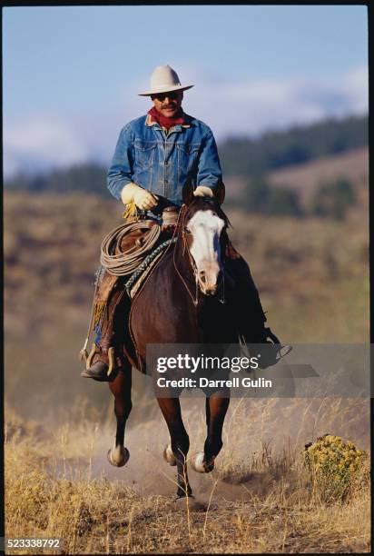 cowboy riding horse - jeansjacke stock-fotos und bilder