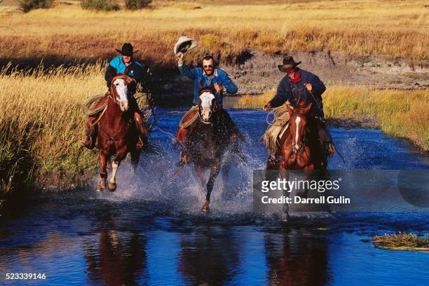 cowboys riding through a river - casaco comprido castanho - fotografias e filmes do acervo
