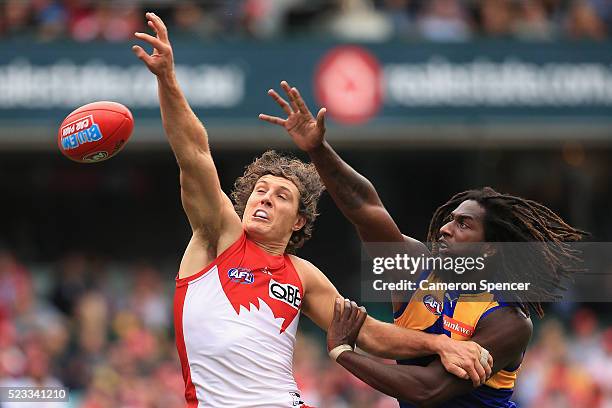 Kurt Tippett of the Swans and Nic Naitanui of the Eagles contest the ball during the round five AFL match between the Sydney Swans and the West Coast...