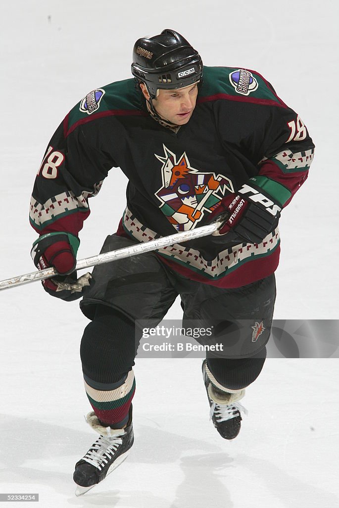 Paul Ranheim Player Paul Ranheim of the Phoenix Coyotes. News Photo - Getty Images