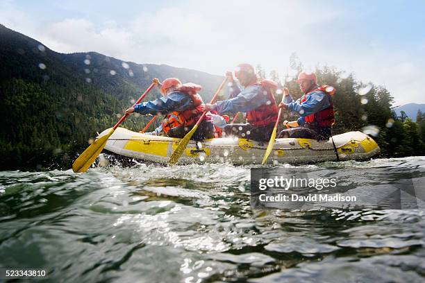 family whitewater rafting - rafting stock pictures, royalty-free photos & images