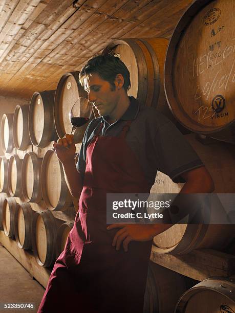 man in wine cellar - vintner stock pictures, royalty-free photos & images