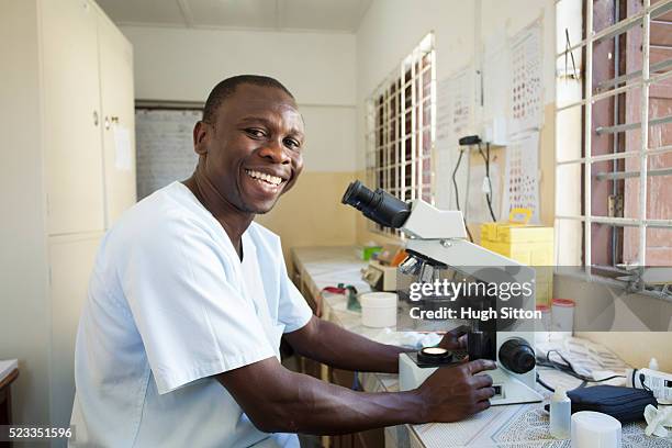 technicians using microscope in clinic laboratory. - plasmódio - fotografias e filmes do acervo